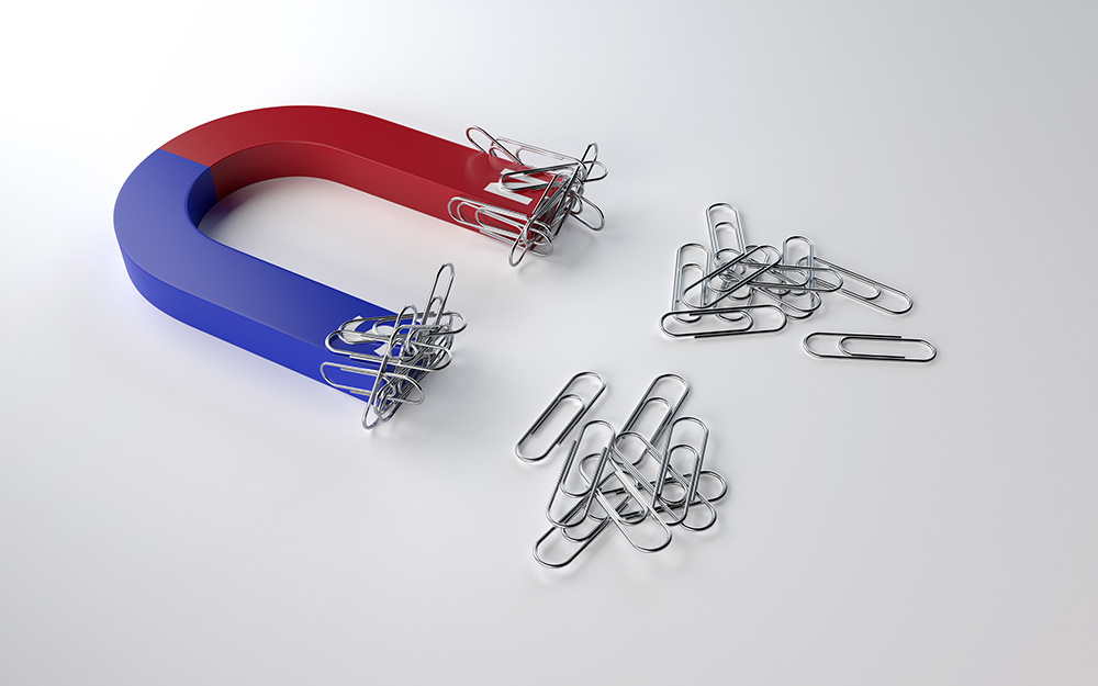 what is a lead magnet